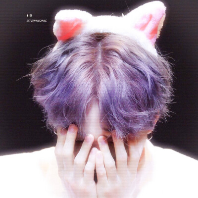 猫猫站长˵＞＜˵