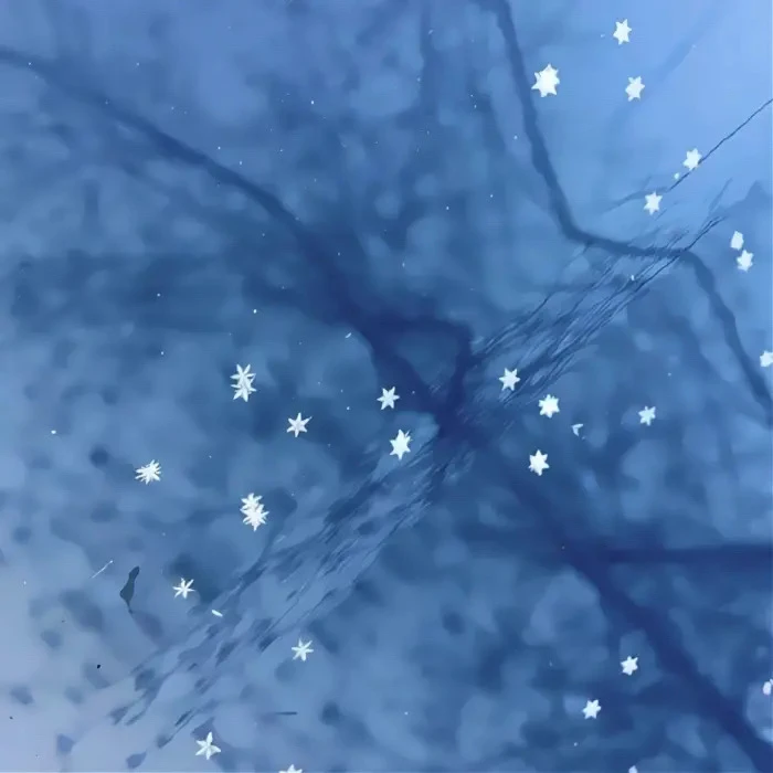 呜呜呜忘了是哪个宝宝送我的了 真嘟超级牛！