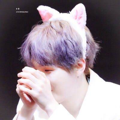 猫猫站长˵＞＜˵