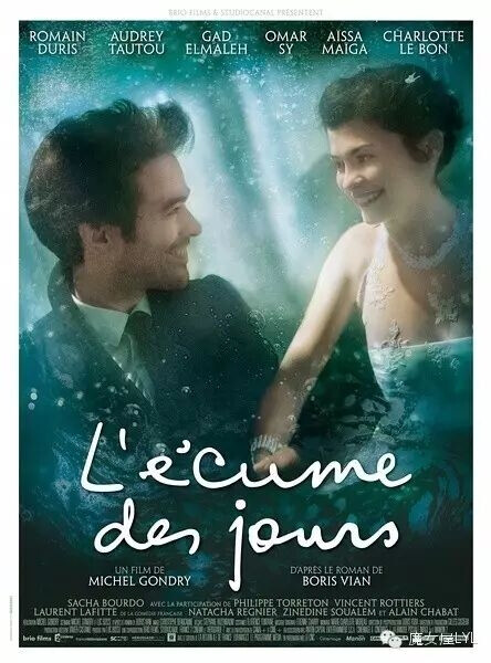 泡沫人生 L'écume des jours (2013)