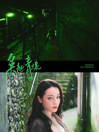 《枭起青壤》