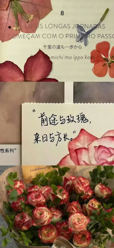 壁纸