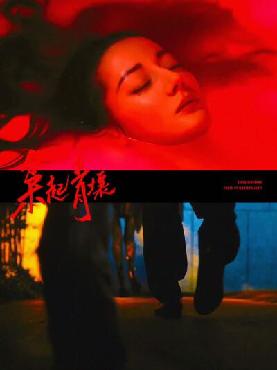 《枭起青壤》