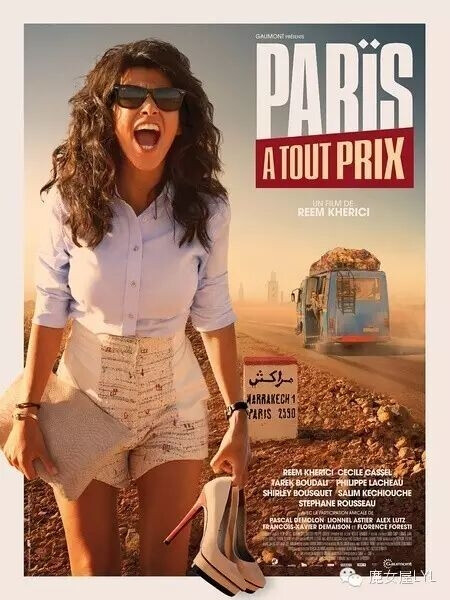 不惜一切回巴黎 Paris à tout prix (2013)