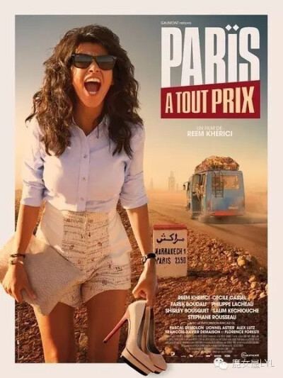 不惜一切回巴黎 Paris à tout prix (2013)
