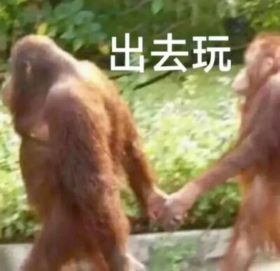 表情包