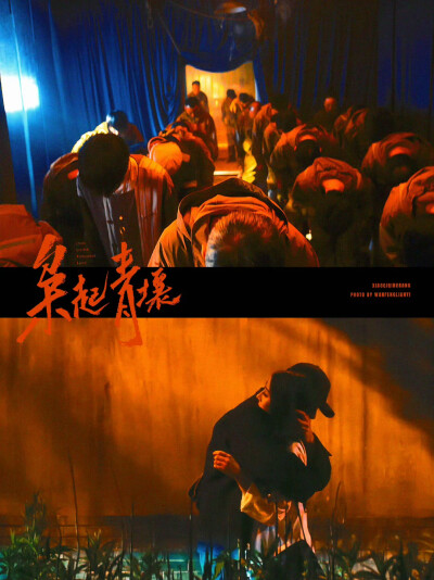 《枭起青壤》