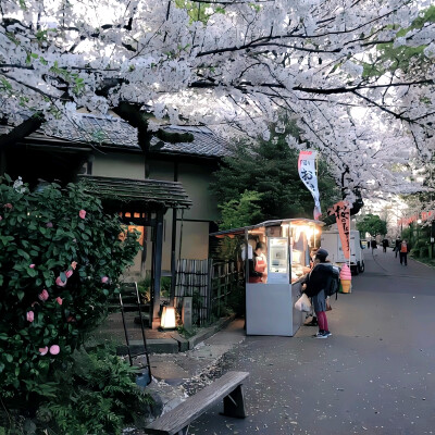 听说地面上跟地底下的季节不同，地底下的春季从10月开始，地面上是刮着寒风的严冷冬季，地底下却进入了植物开始发芽的春天。