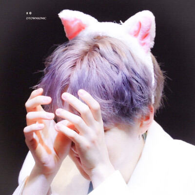 猫猫站长˵＞＜˵