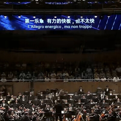 有力的快板，但不太快.