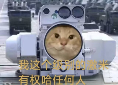 表情包