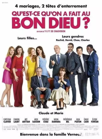 岳父岳母真难当 Qu'est-ce qu'on a fait au Bon Dieu? (2014)