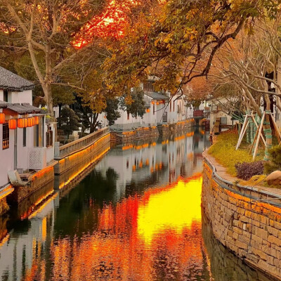 
我只是可惜 人生苦短
