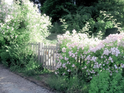 听说地面上跟地底下的季节不同，地底下的春季从10月开始，地面上是刮着寒风的严冷冬季，地底下却进入了植物开始发芽的春天。