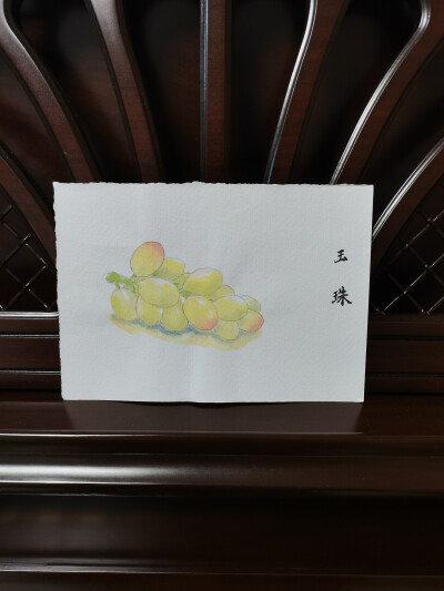 50 玉珠葡萄（绘画 | 水彩 | 果花甘04）
2018.04-06
一串果珠颗粒分明，色泽丰富或纯净，每一颗都精致可爱。
那样光圆的果皮，在阳光下晶莹地反光，果皮里是半透明的果肉，似玉石，看着很清爽，清芬馨香。
葡萄是那…