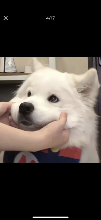 头像