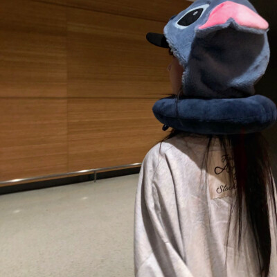 教司