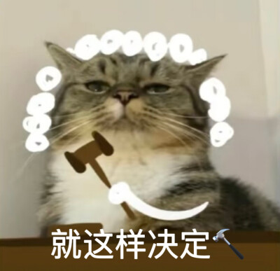 就这样决定.敲敲.