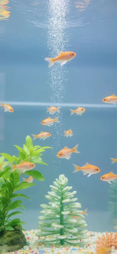 壁纸