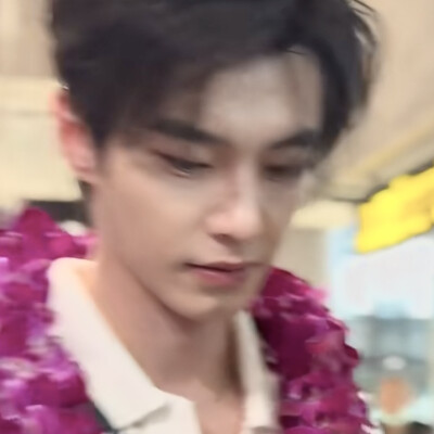 夏日来自何与的第一封情书