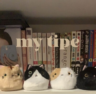 不想再等你的回复了