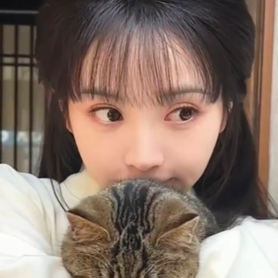 这里有两只猫