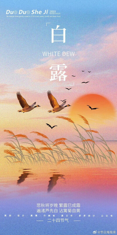 白露，节气
图片来自网络，侵删