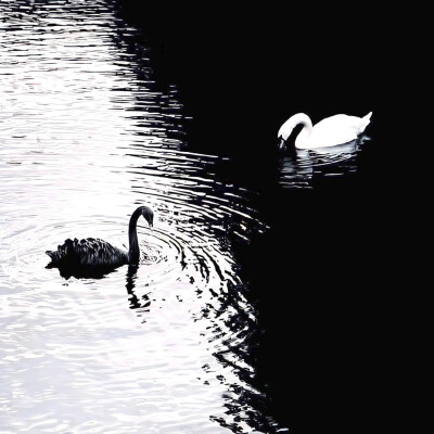 “你想娶妖”
“我想娶你 谁让柳娘子是妖呢”