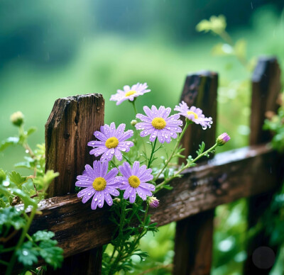 在往后的日子里，学会割舍，放下怨恨，甩开执念，终能在漫漫人生长河中洒脱过活。