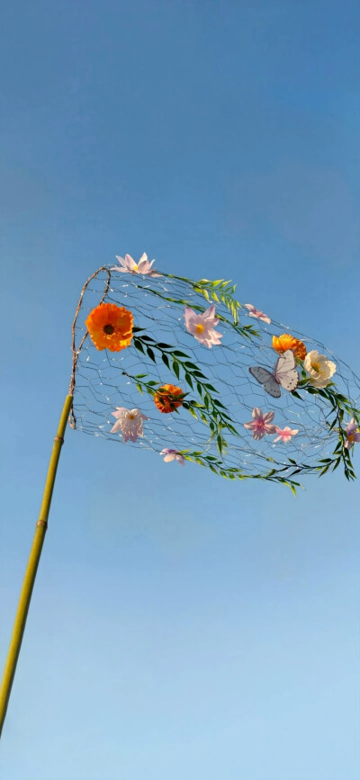 鲜花壁纸
