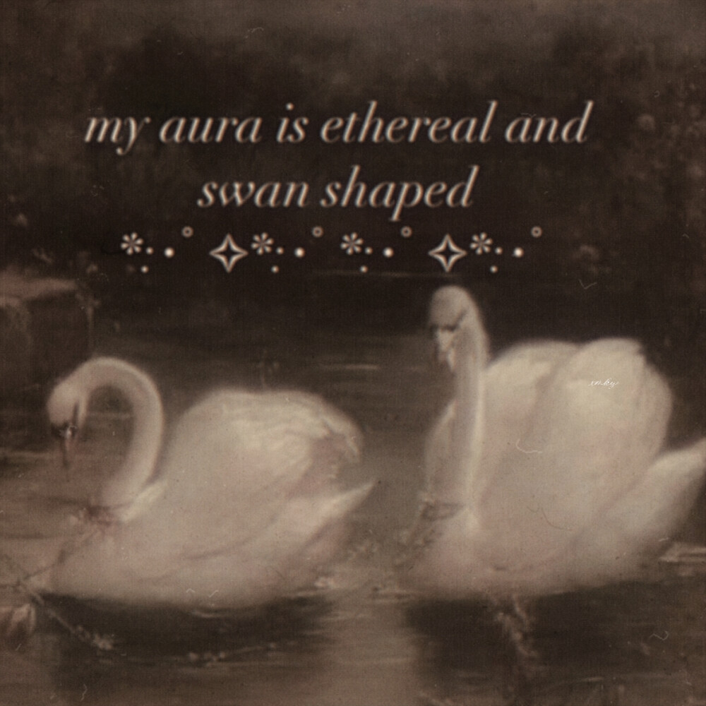 "我想要忘記"…ヘアラインの香り、《替代》