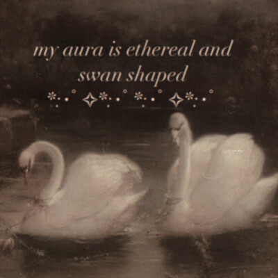 "我想要忘記"…ヘアラインの香り、《替代》