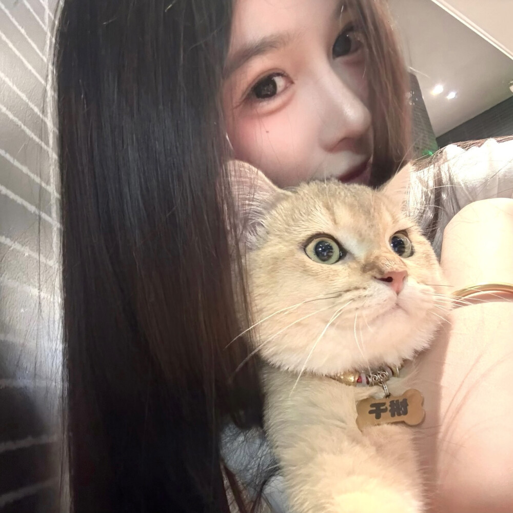 一起看愚蠢的晚霞吧
