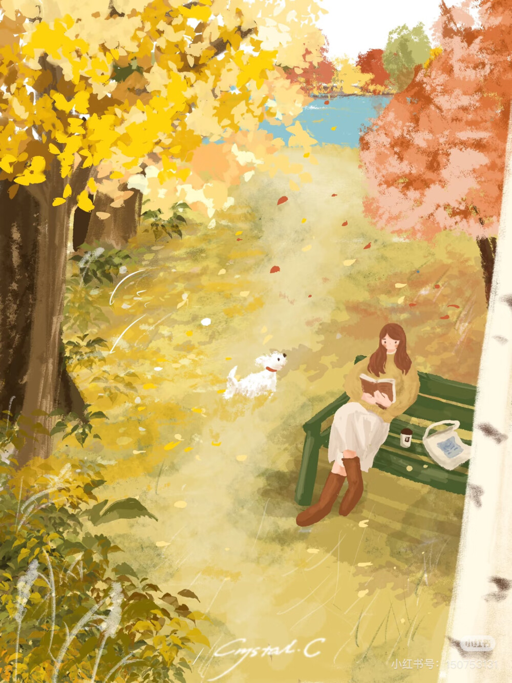 from 网络