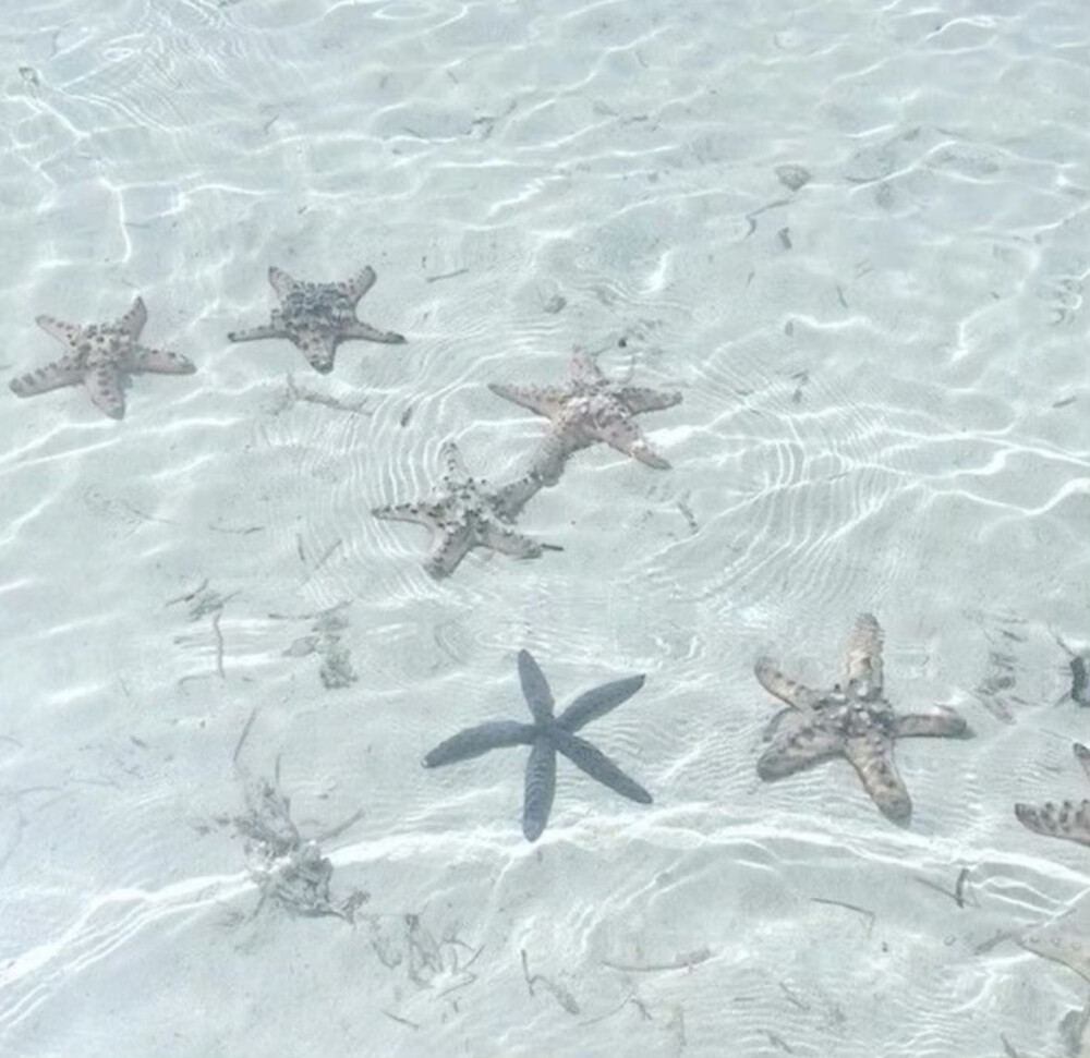  今天天气 是温转晴