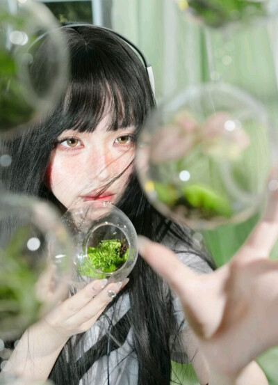 壁纸