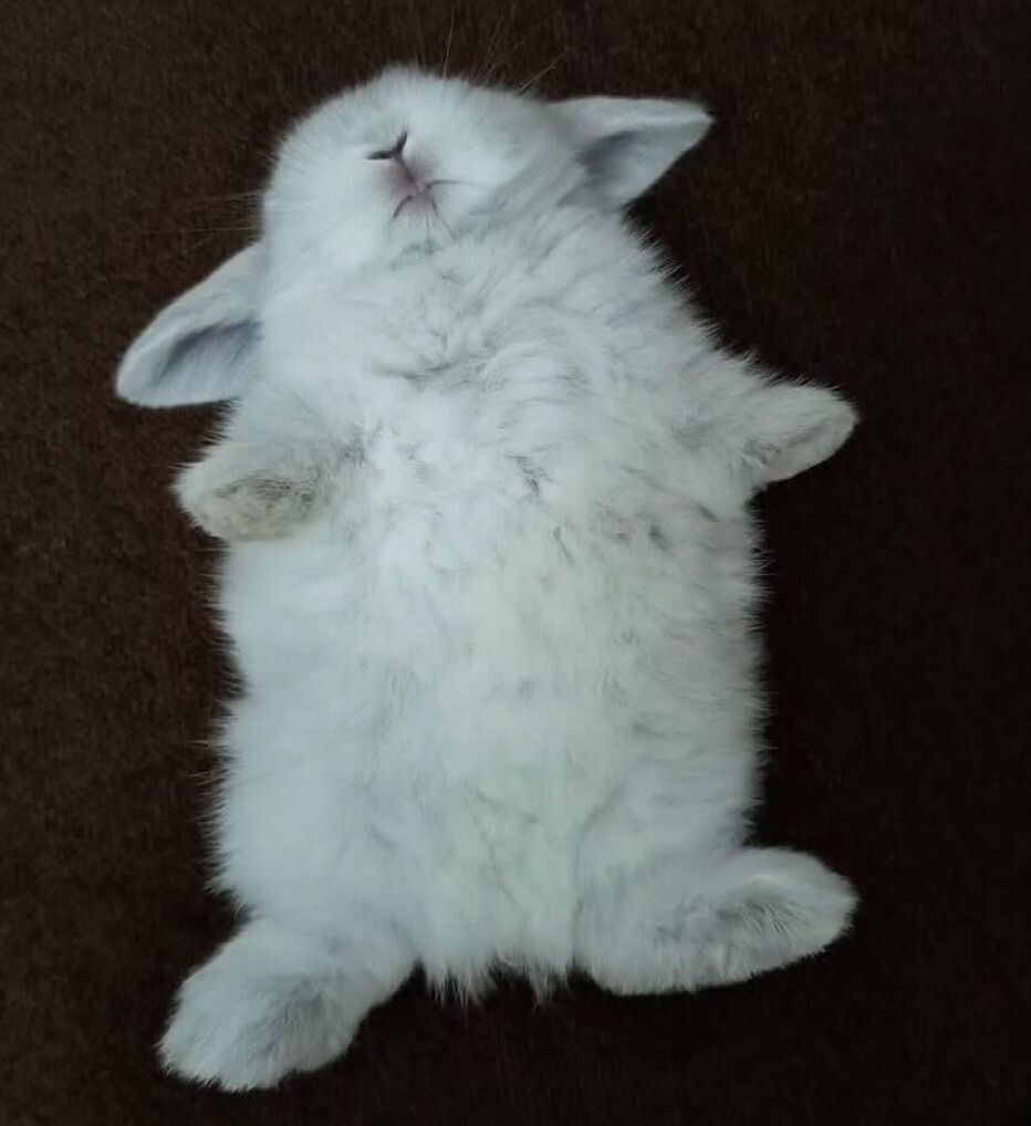 . ..