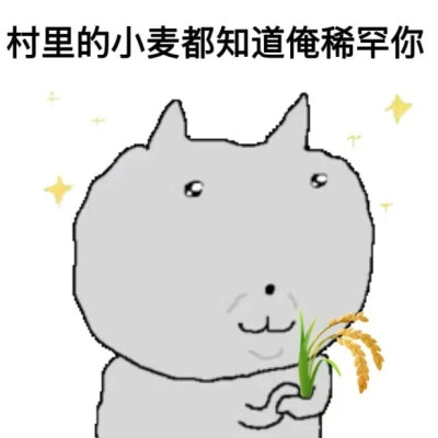 表情包