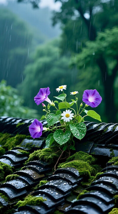 在往后的日子里，学会割舍，放下怨恨，甩开执念，终能在漫漫人生长河中洒脱过活。