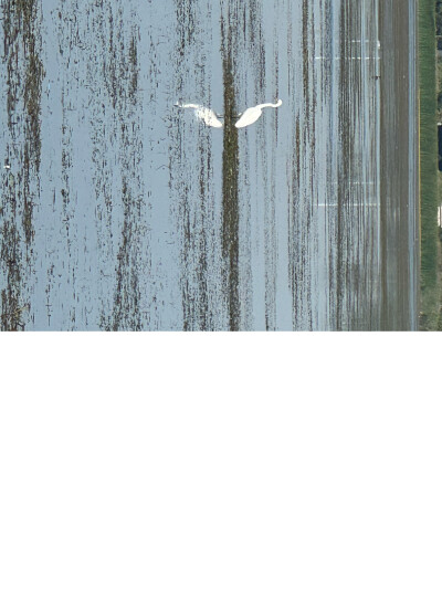 9.7-2