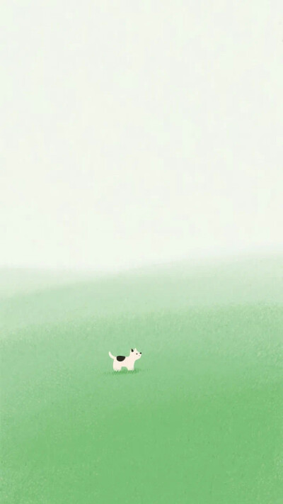 壁纸