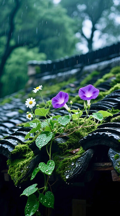 在往后的日子里，学会割舍，放下怨恨，甩开执念，终能在漫漫人生长河中洒脱过活。