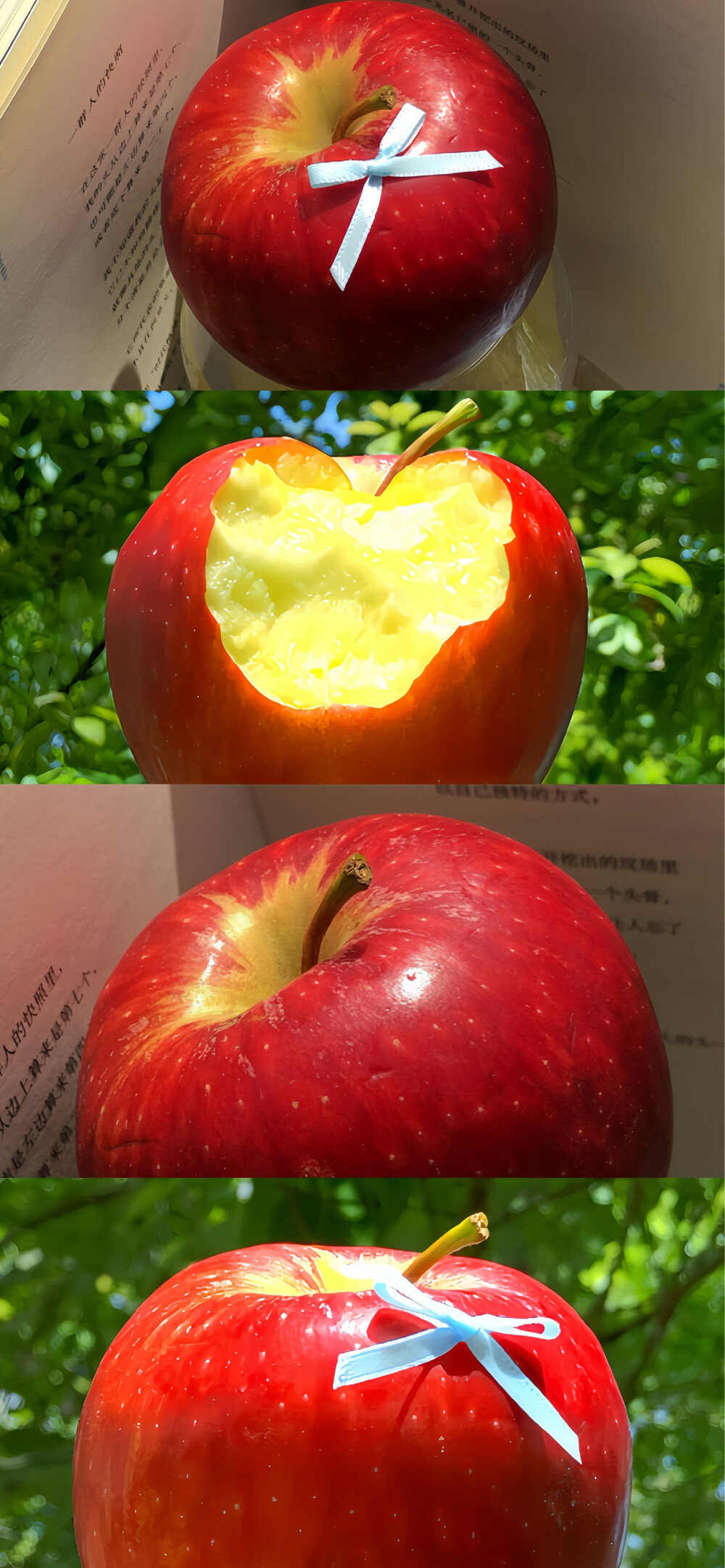 ▸ins风壁纸
"万物自有节奏 小闲既欢 小清既静"