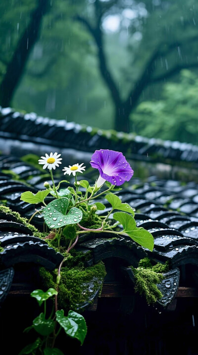 在往后的日子里，学会割舍，放下怨恨，甩开执念，终能在漫漫人生长河中洒脱过活。