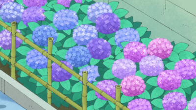 绣球花