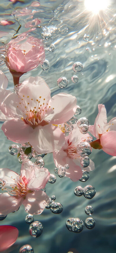 鲜花壁纸