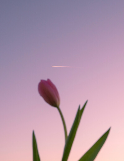 。