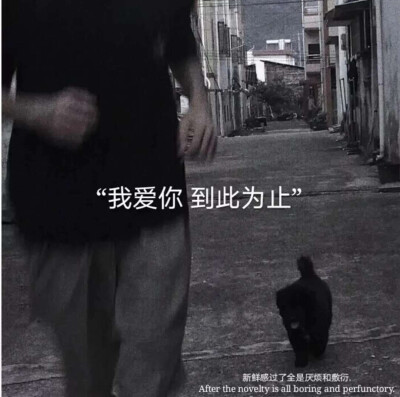 文字背景