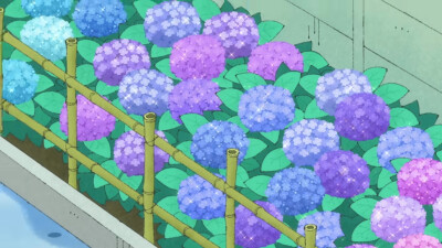 绣球花