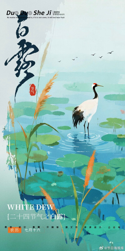 白露，节气
图片来自网络，侵删